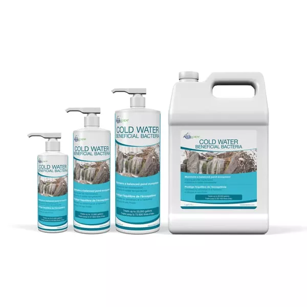 COLD WATER BENEFICIAL BACTERIA