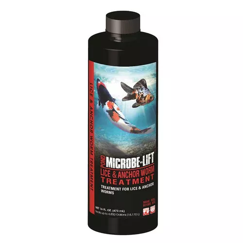 lice-anchor-worm-treatment Lice & Anchor Worm Treatment