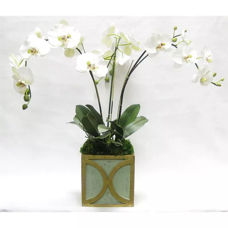 [WSPO-GG-ORGR] Wooden Square Container w/ Half Circle – Green w/ Antique Gold – White & Green Orchid Artificial